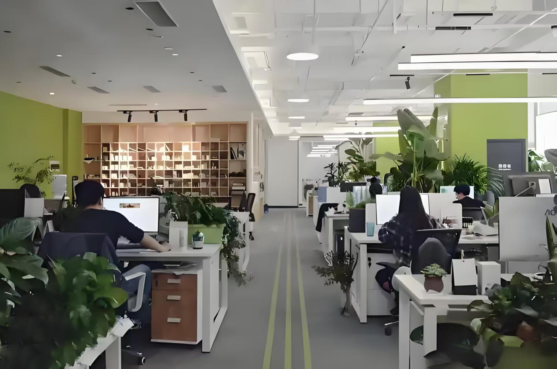 Supplier Album Image