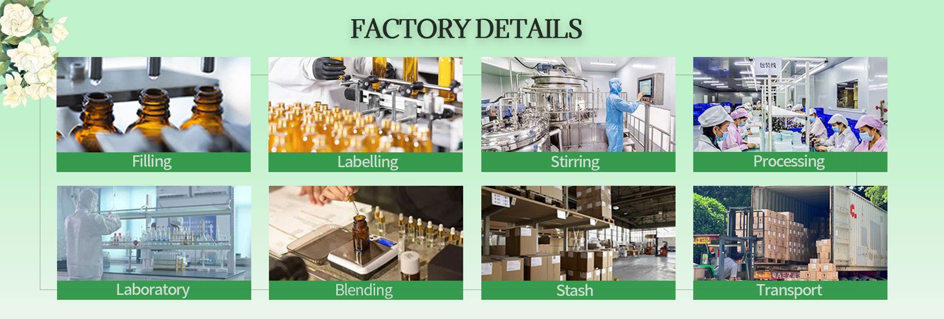 Foshan BFY Aromatherapy Technology Co., Ltd.