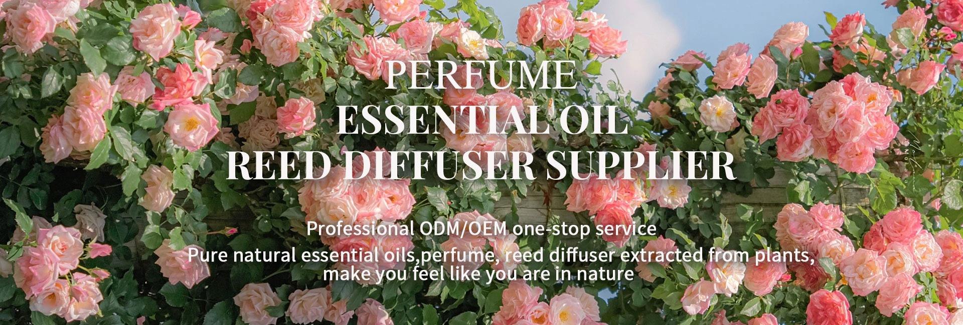 Foshan BFY Aromatherapy Technology Co., Ltd.