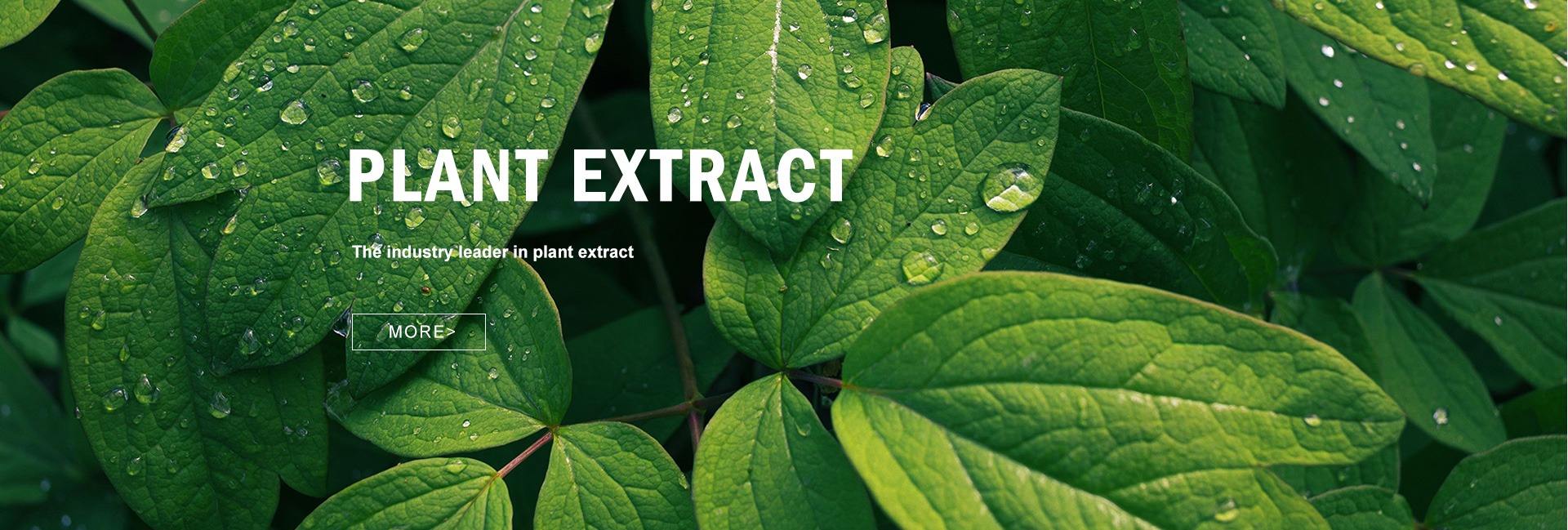 Herblink Biotech Corporation