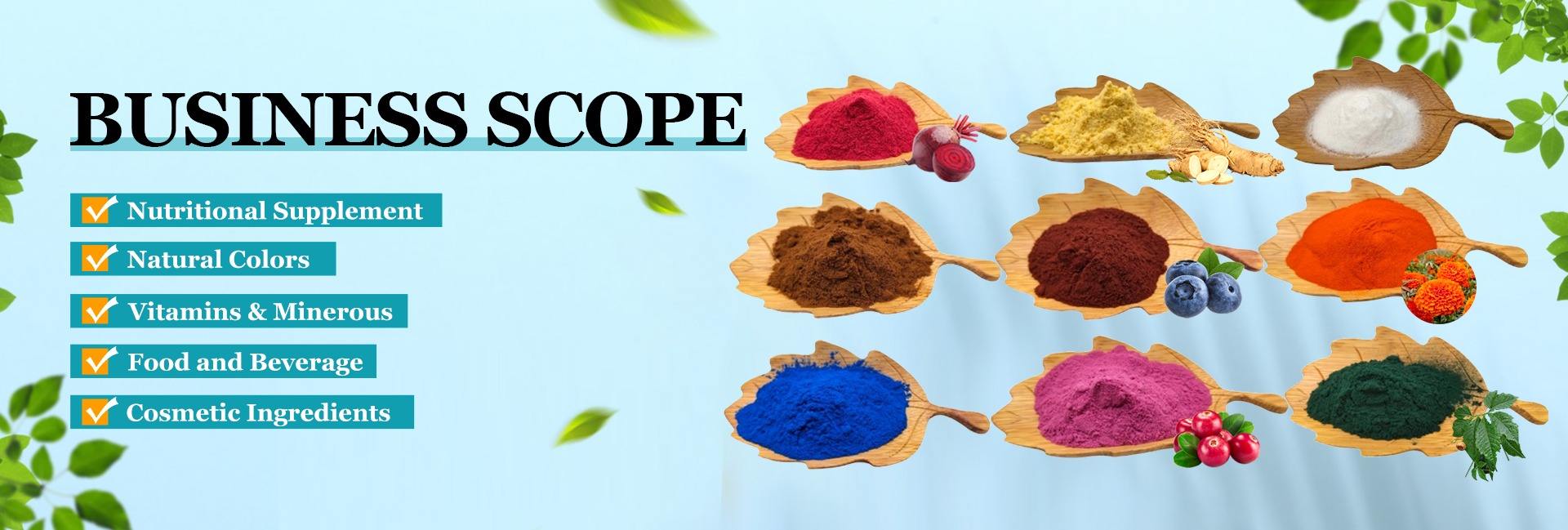 Backvita Biotech, Inc