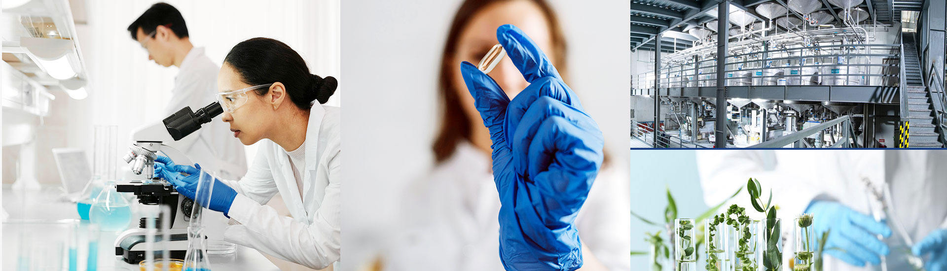 Qingdao Duyi Import And Export Co., Ltd.