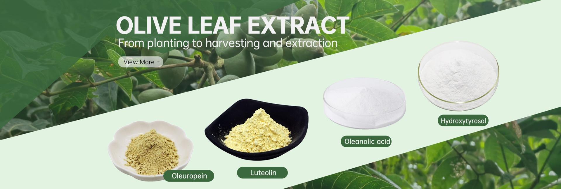 Hubei Sanxin Biological Technology Co., Ltd.