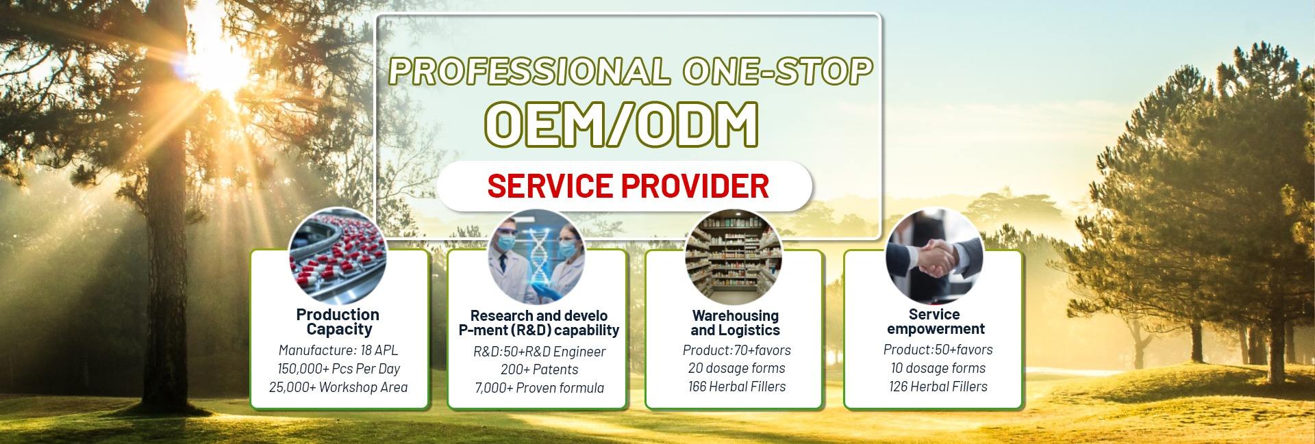 Guangzhou Xingjian International Technology Co., Ltd.