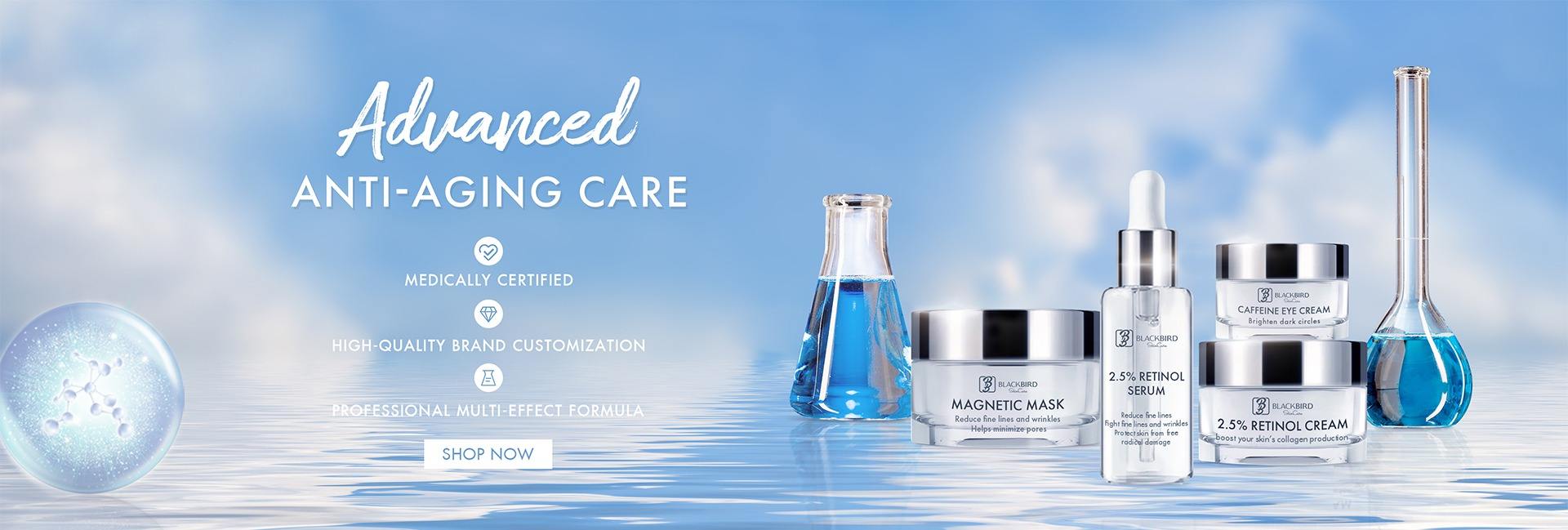 Foshan Blackbird Trading Co., Ltd.