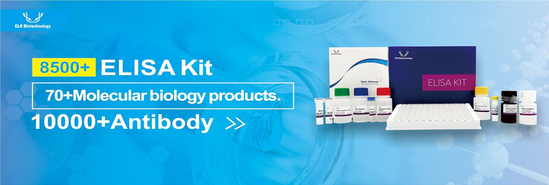 Elk (wuhan) Biotechnology Co., Ltd.