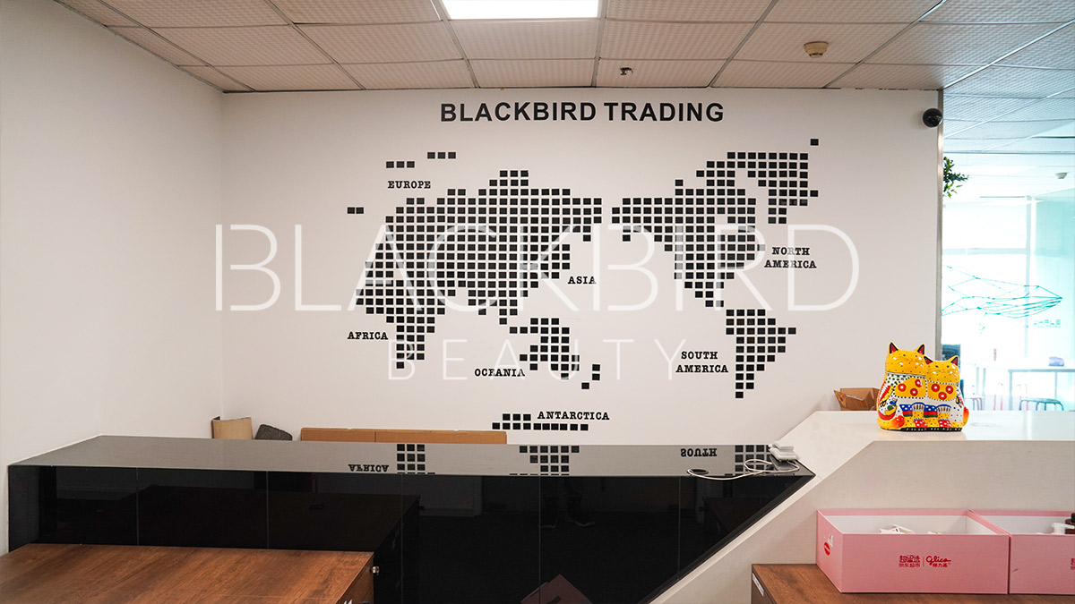 Supplier Album Image