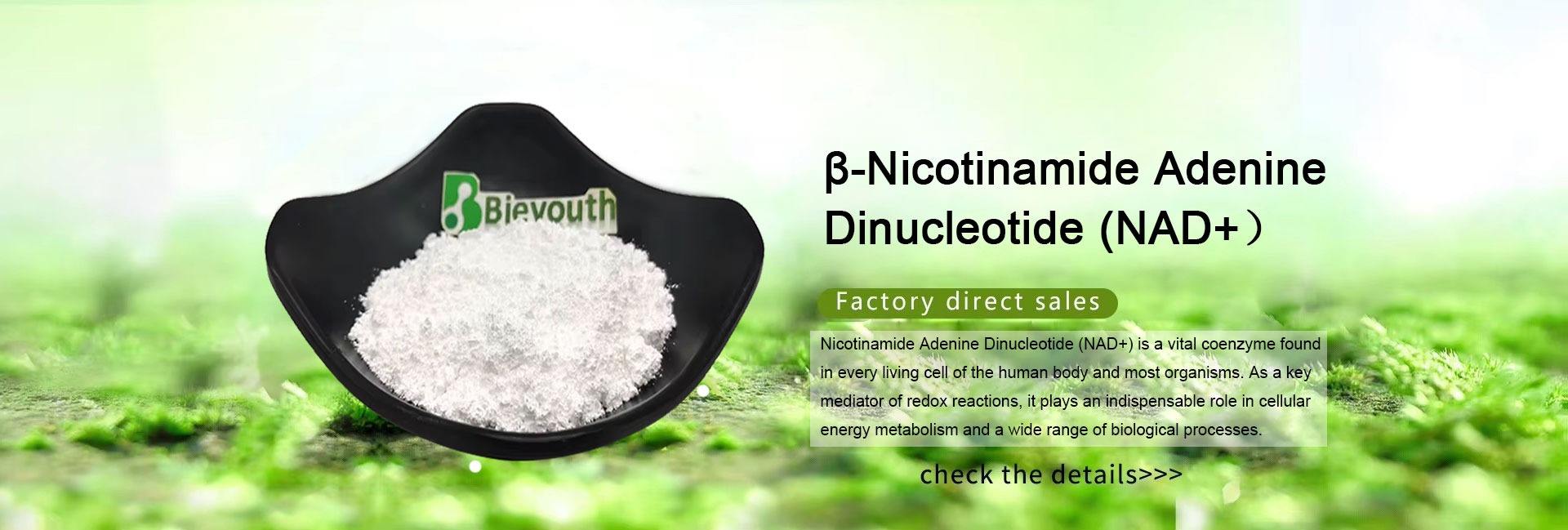 Shaanxi Bieyouth Biotech Co., Ltd.