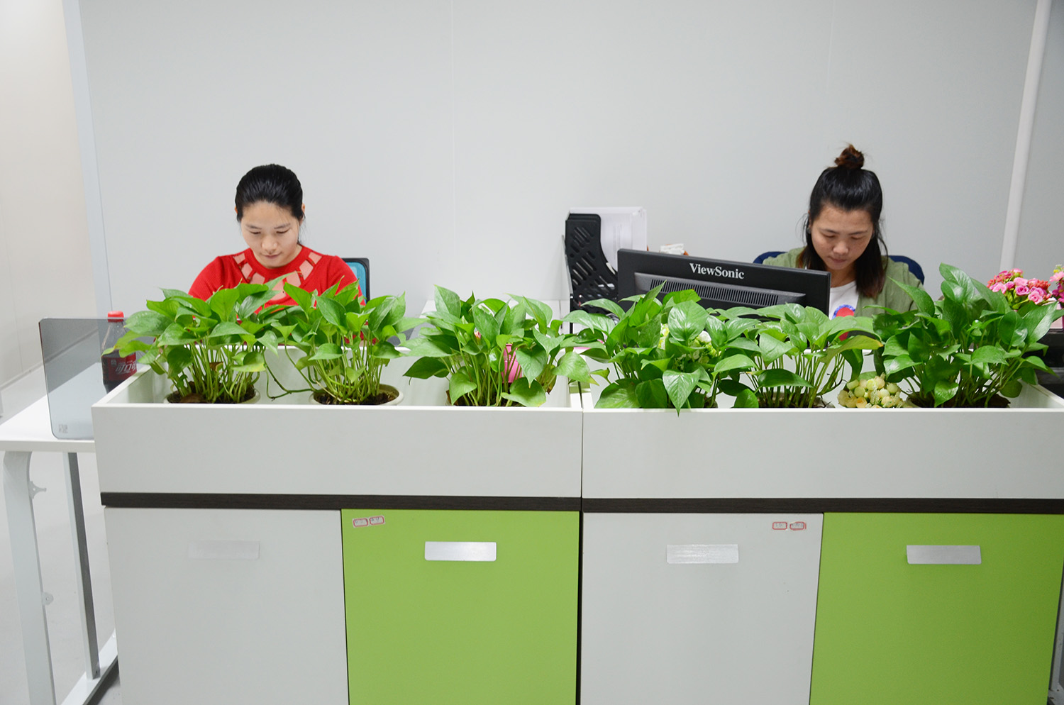 Supplier Album Image