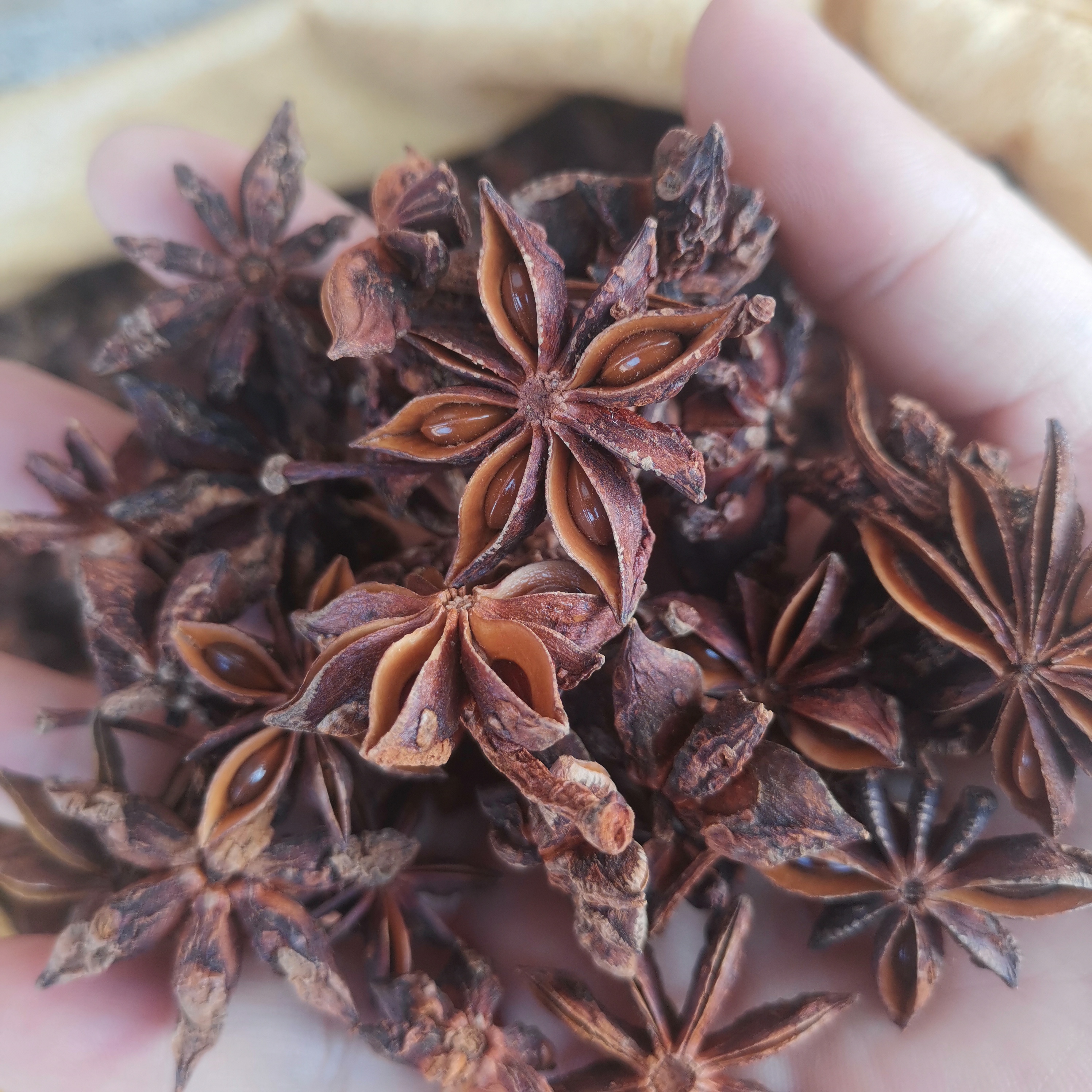 star anise