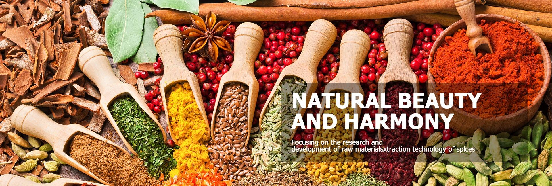 Zhengzhou Xuemailon Food Flavor Co., Ltd.