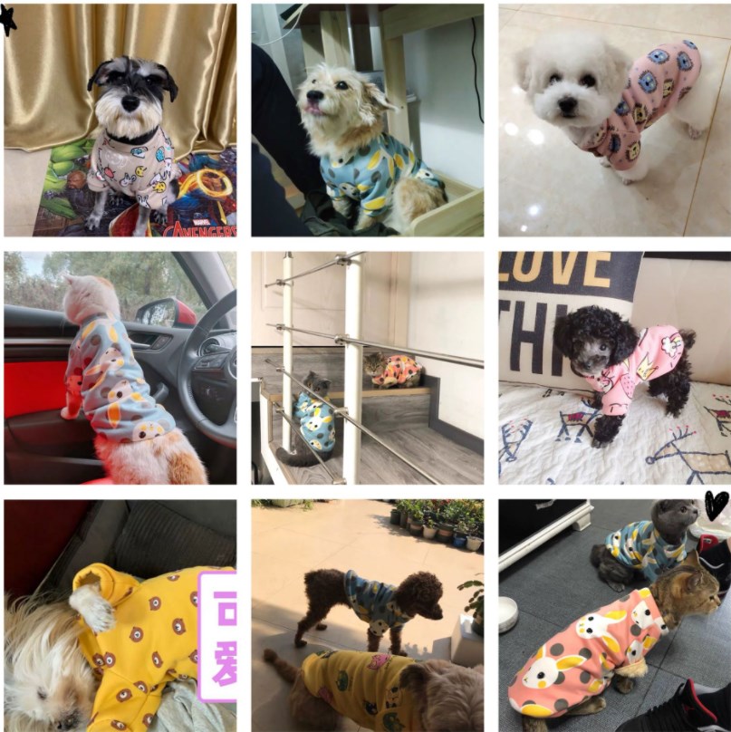 Clothes & Fashion Accessories