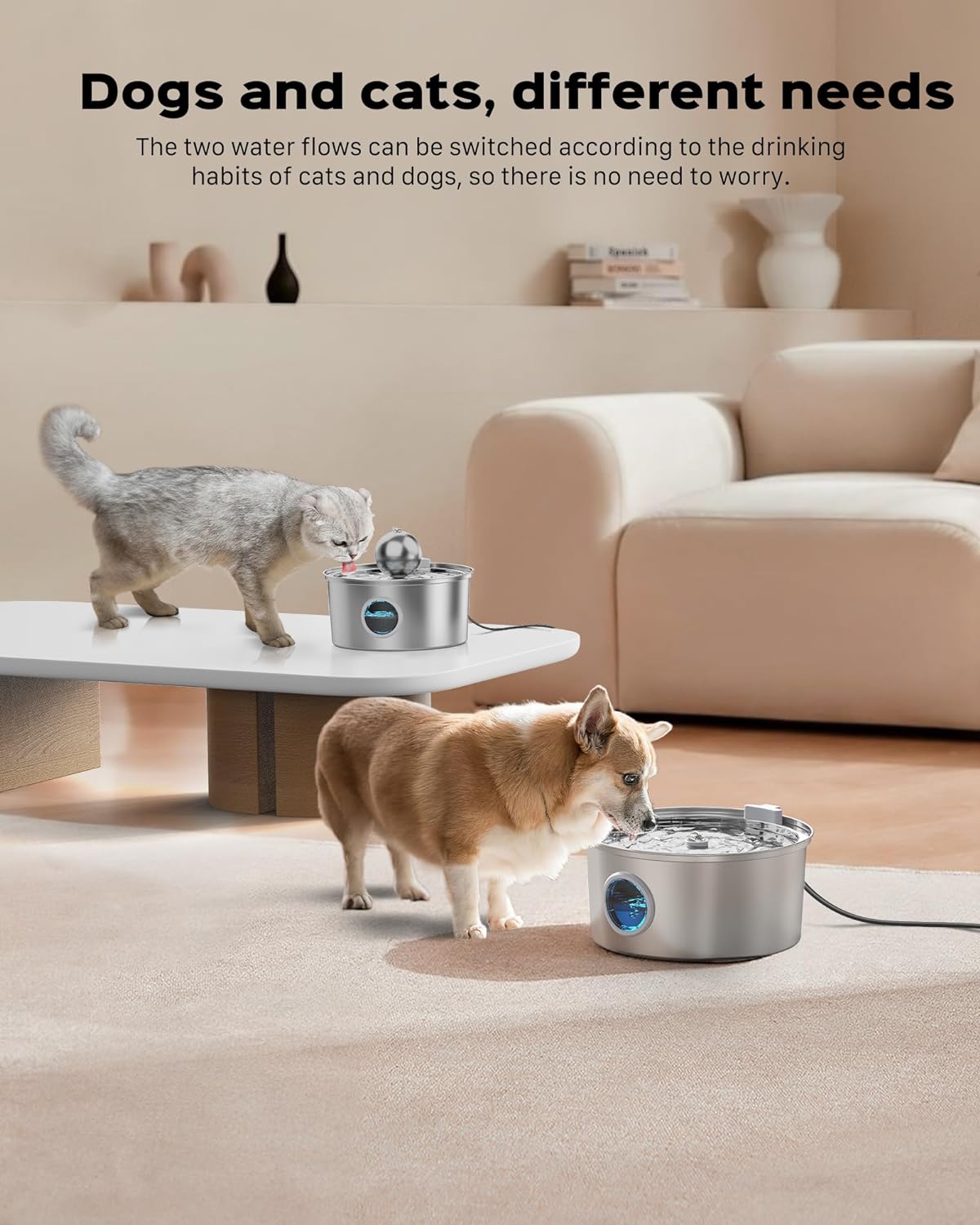 Pet Feeder