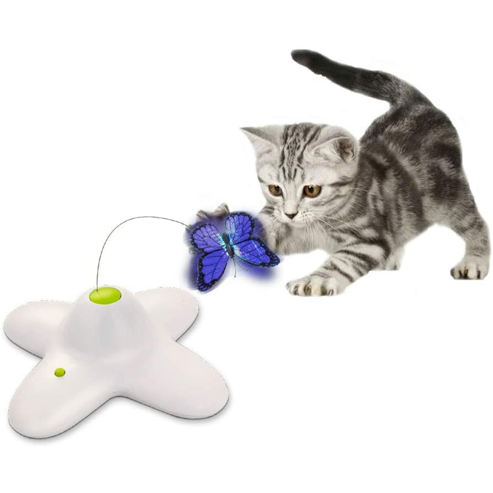 Pet Toys