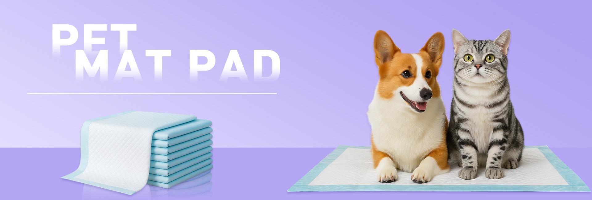 Guangdong Alloves Hygienic Products Co., Ltd.