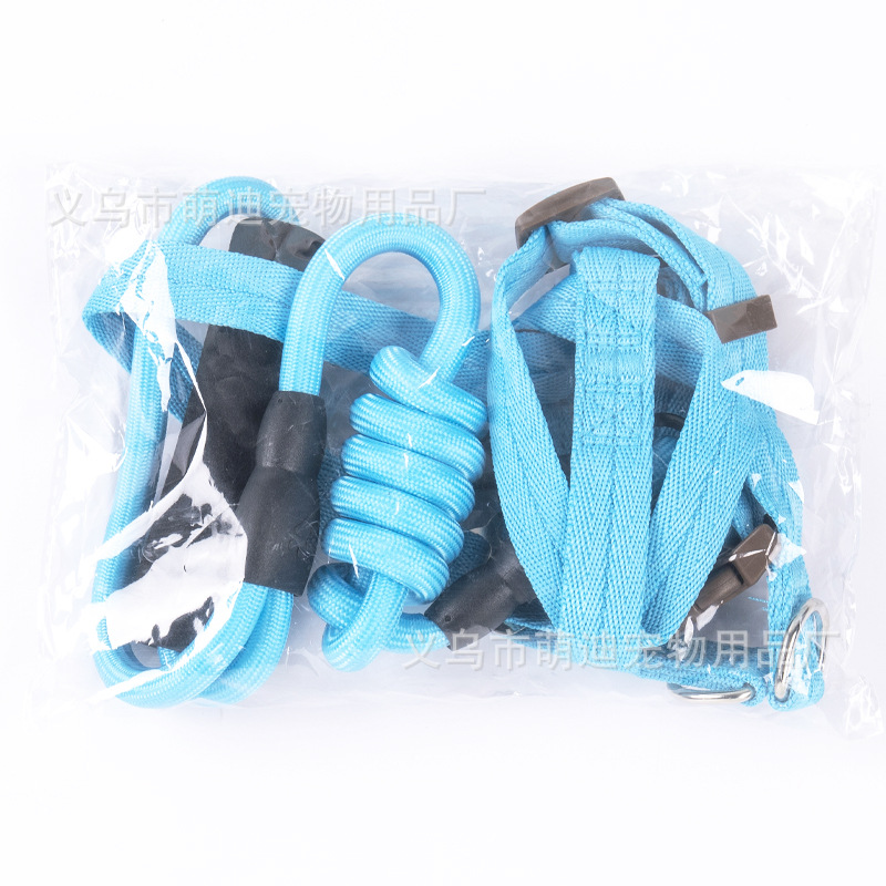 Dog Collar and Harness