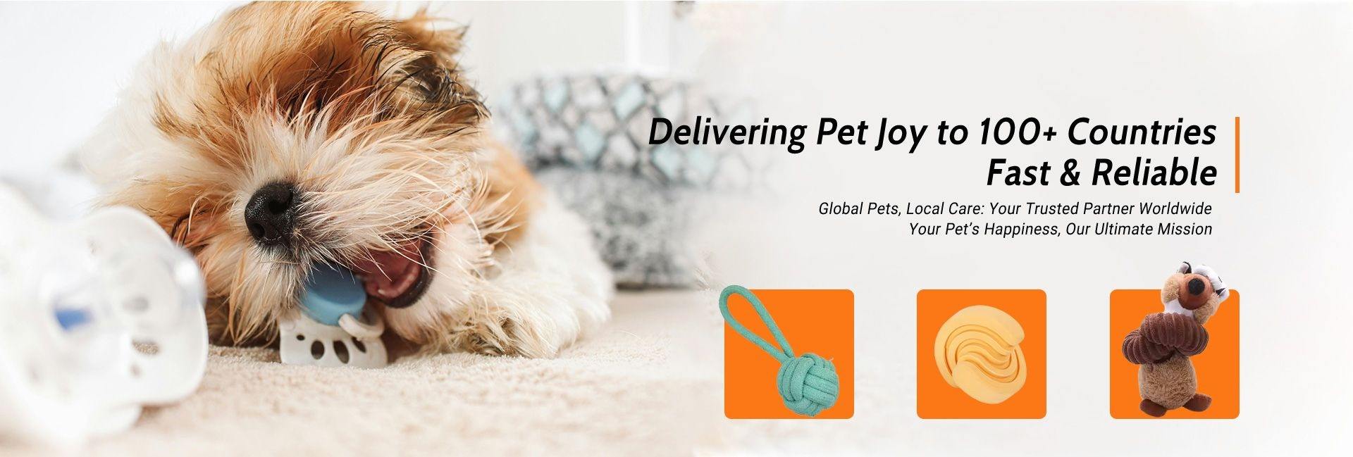 Little Guy Pet Supplies (Suzhou) Co., Ltd