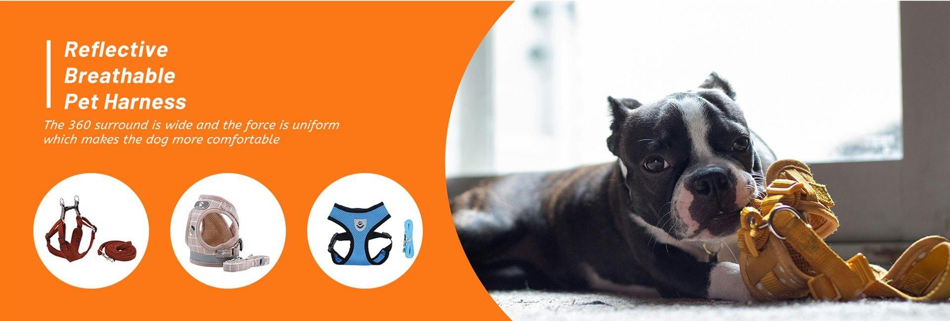 Little Guy Pet Supplies (Suzhou) Co., Ltd