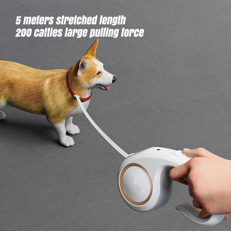 Pet Collars & Leashes