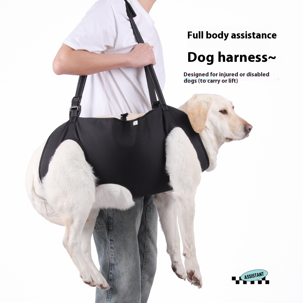 Pet Leash/Chest Strap