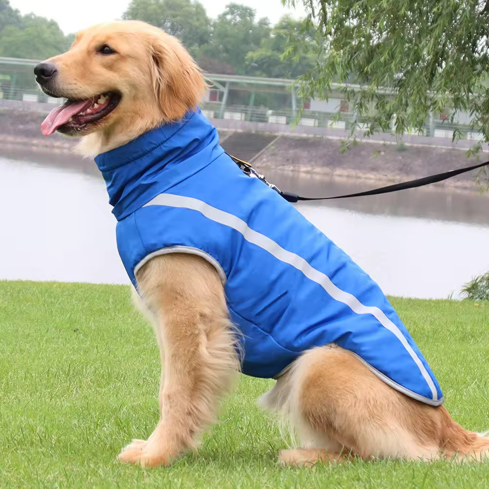 Pet Outdoor Apparel Accessories