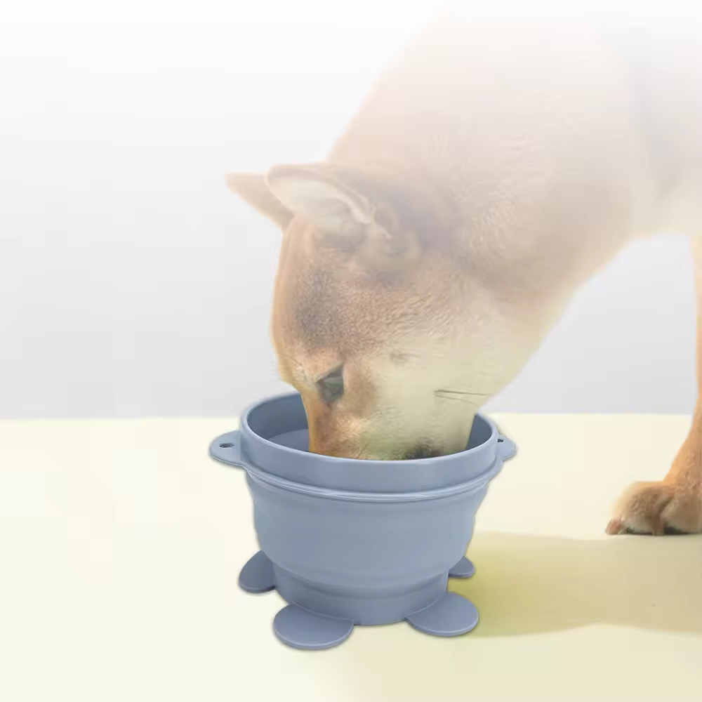 Pet Folding Bowl