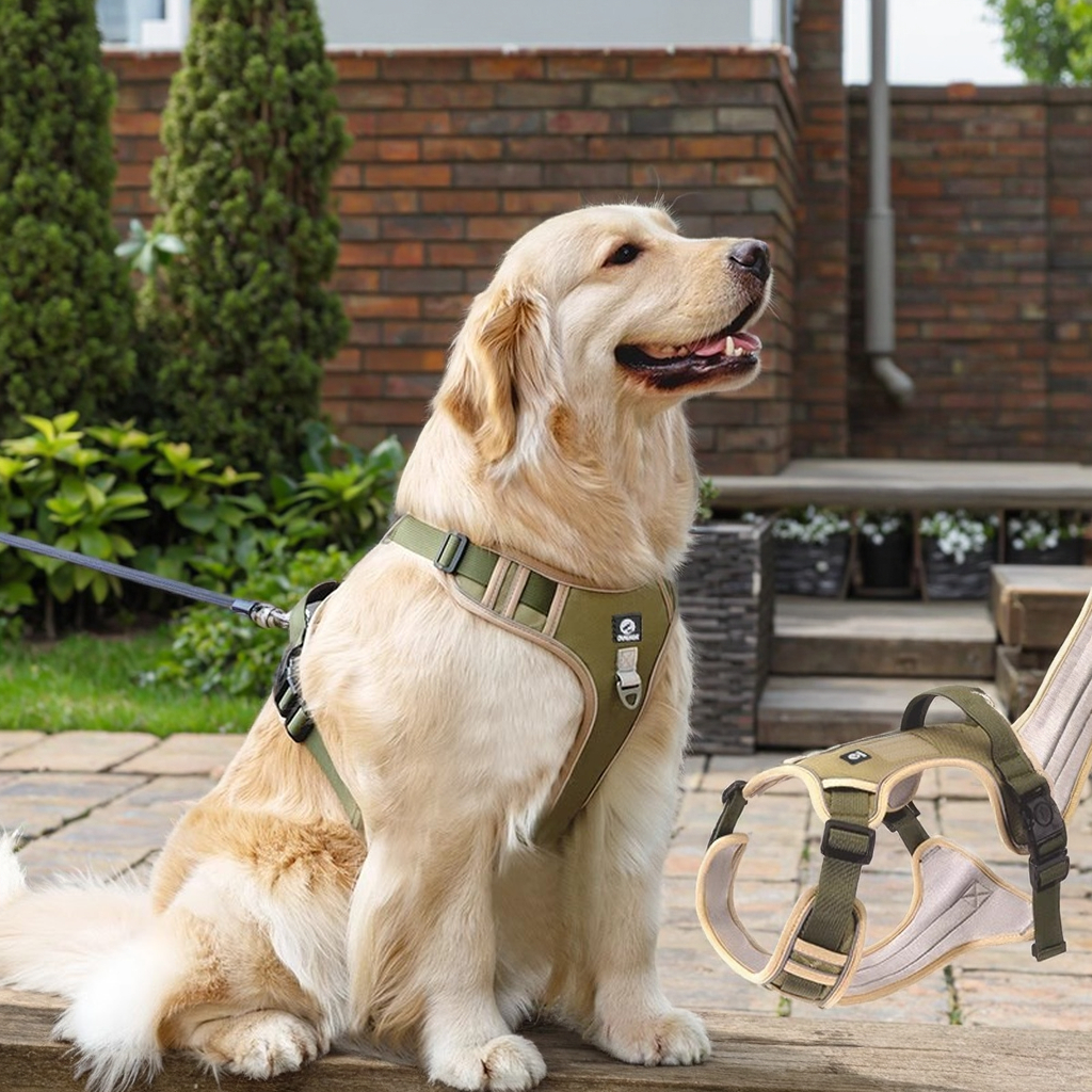 Pet Harness