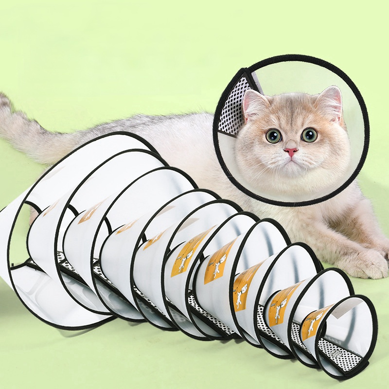 Pet collar&traction