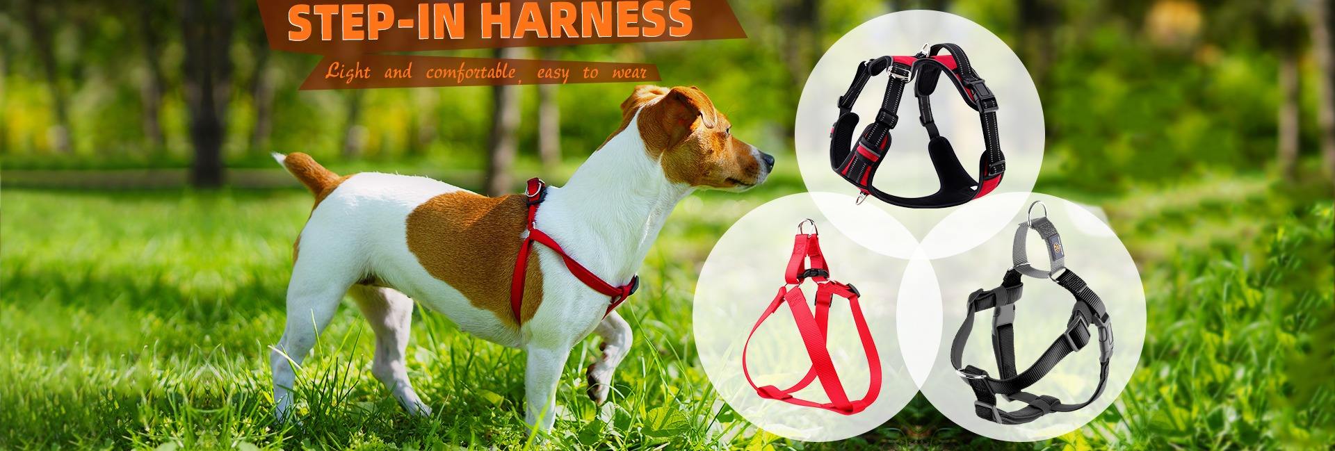 Guangzhou Cooldog Pet Product Co., Ltd.