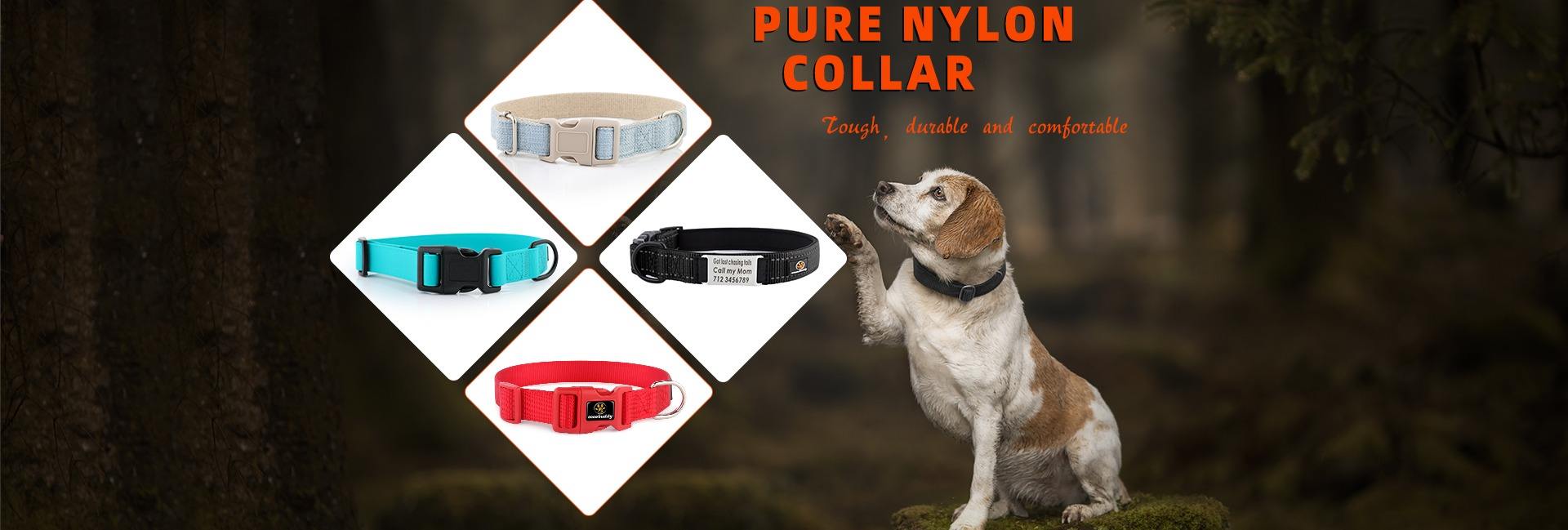 Guangzhou Cooldog Pet Product Co., Ltd.