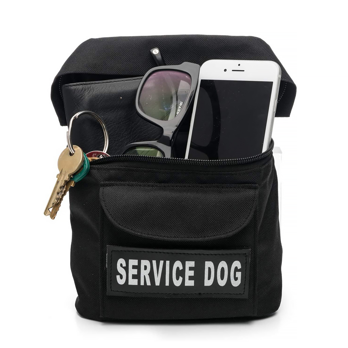 Pet Training & Travel