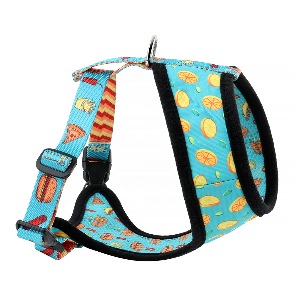 Pet Harness & Vest