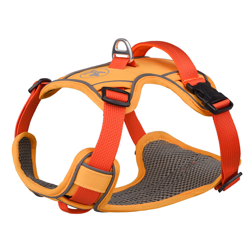 Pet harness & leash & collar