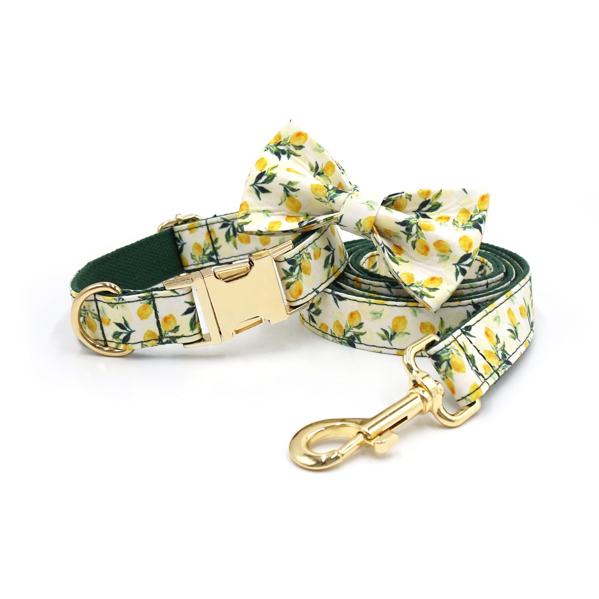 Pet Collars Leashes Harness
