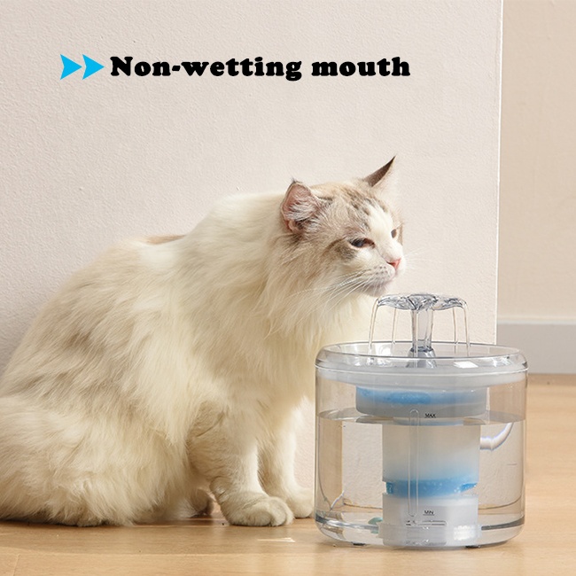 Smart Pet Water Dispenser