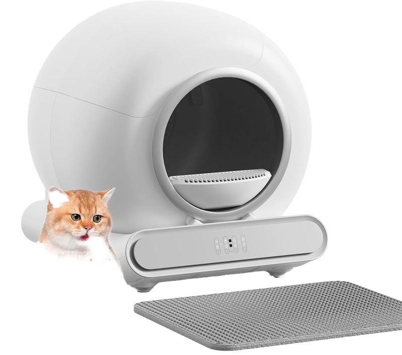 Pet Cleaning & Grooming