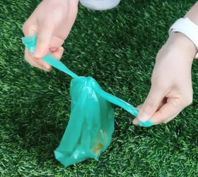 Pet Travel & Outdoors