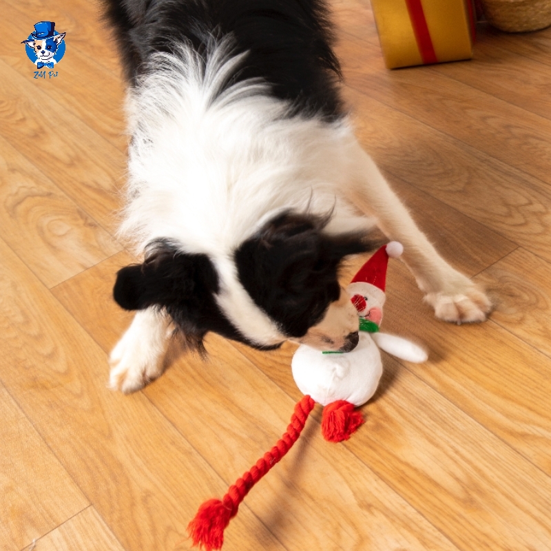 Pet Holiday Products