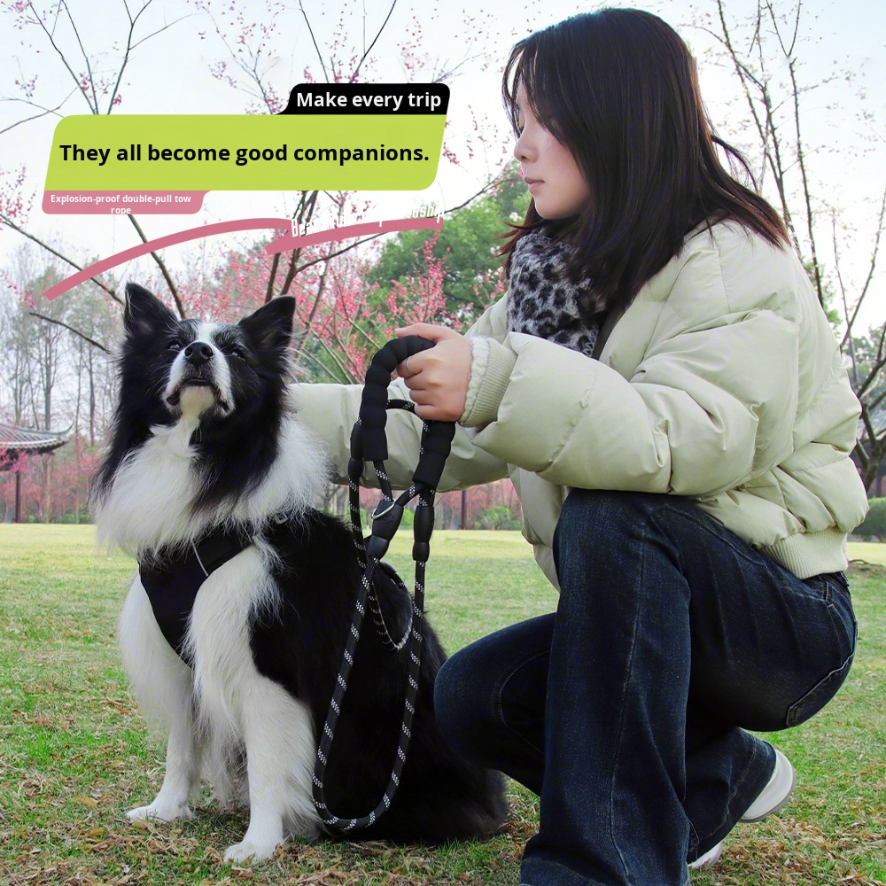 Pet Collars & Leashes