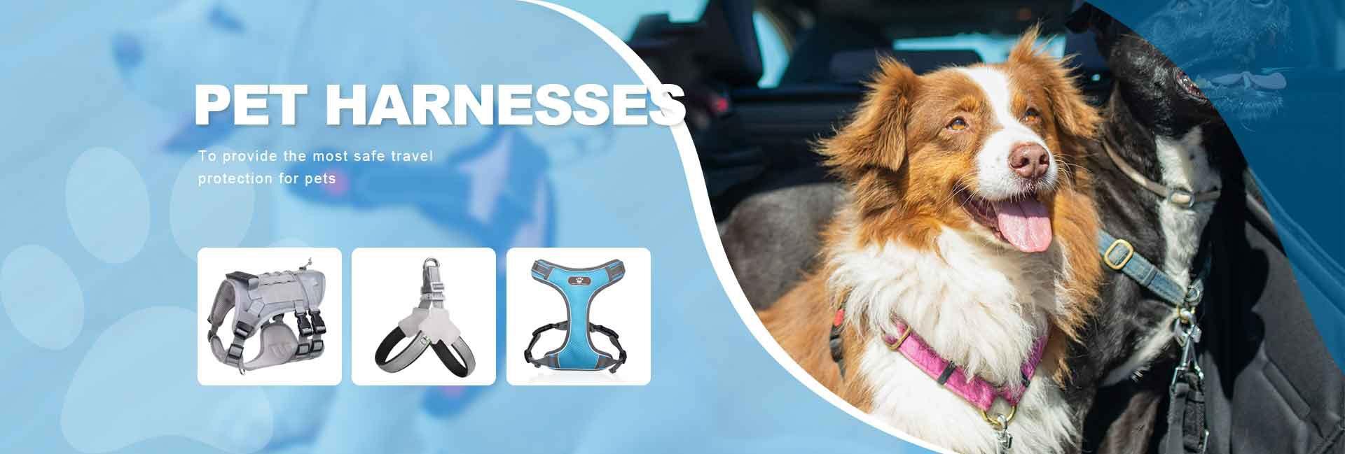 Fuqianyin Health Management (shandong) Co., Ltd.