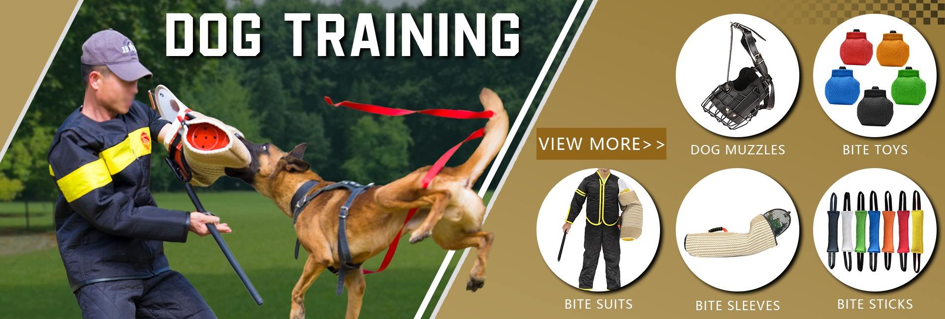 Hangzhou Polygon Pet Products Co., Ltd.