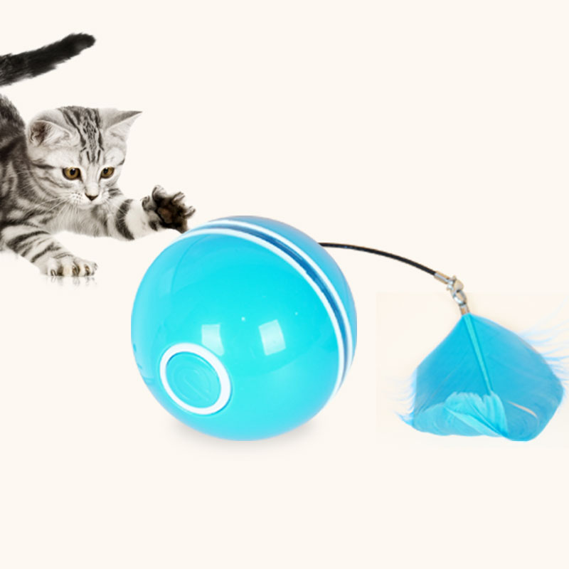 Pet Electric Toy