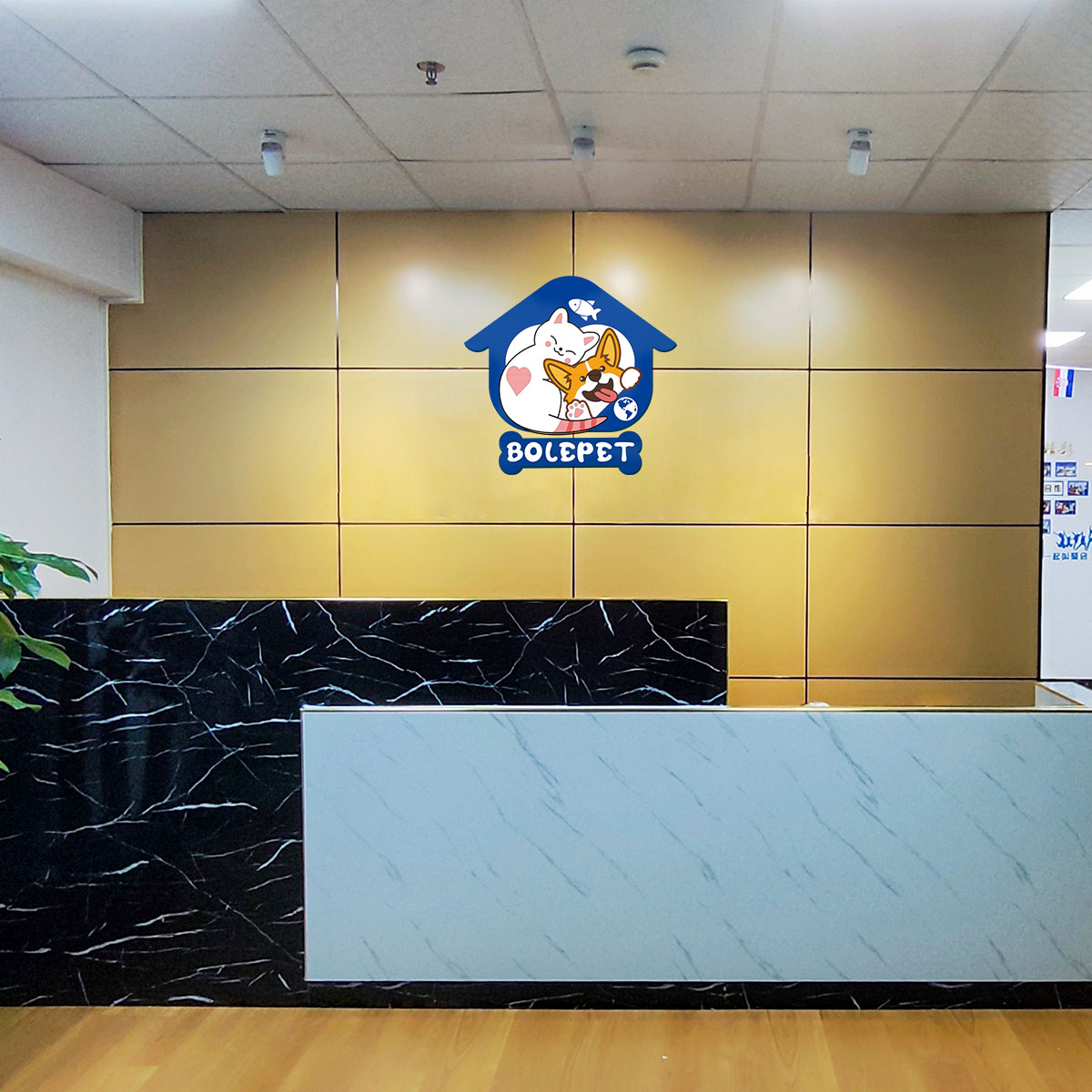 Supplier Album Image