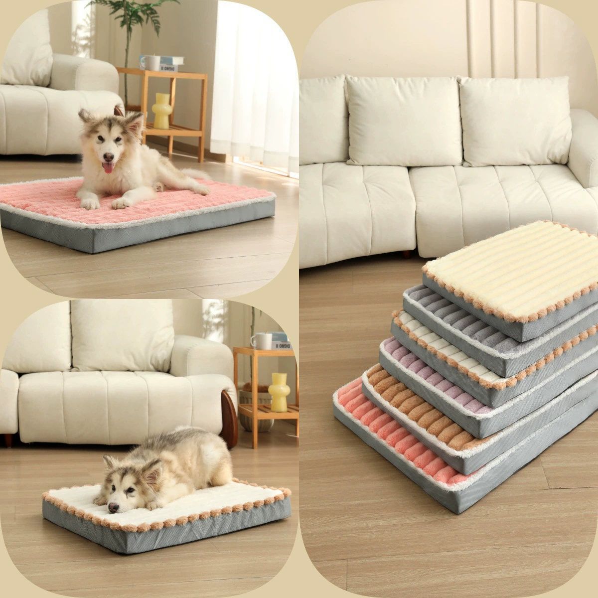 Pet Bed