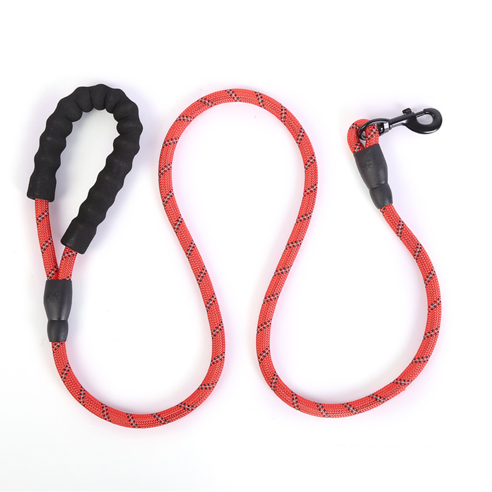 Pet Collar & Leash