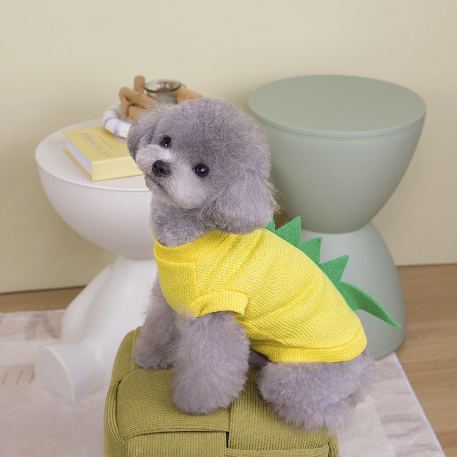 Pet Apparel & Accessories