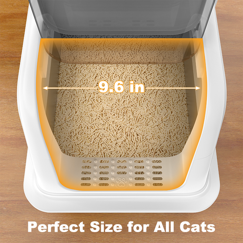 Cat Litter Box
