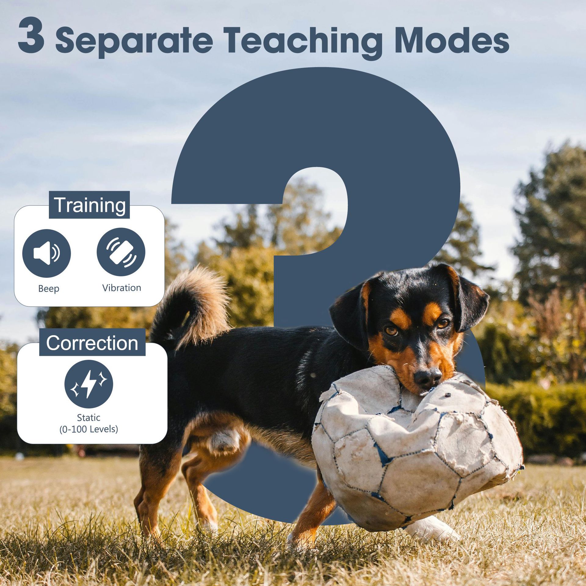 Pet training and behavior management