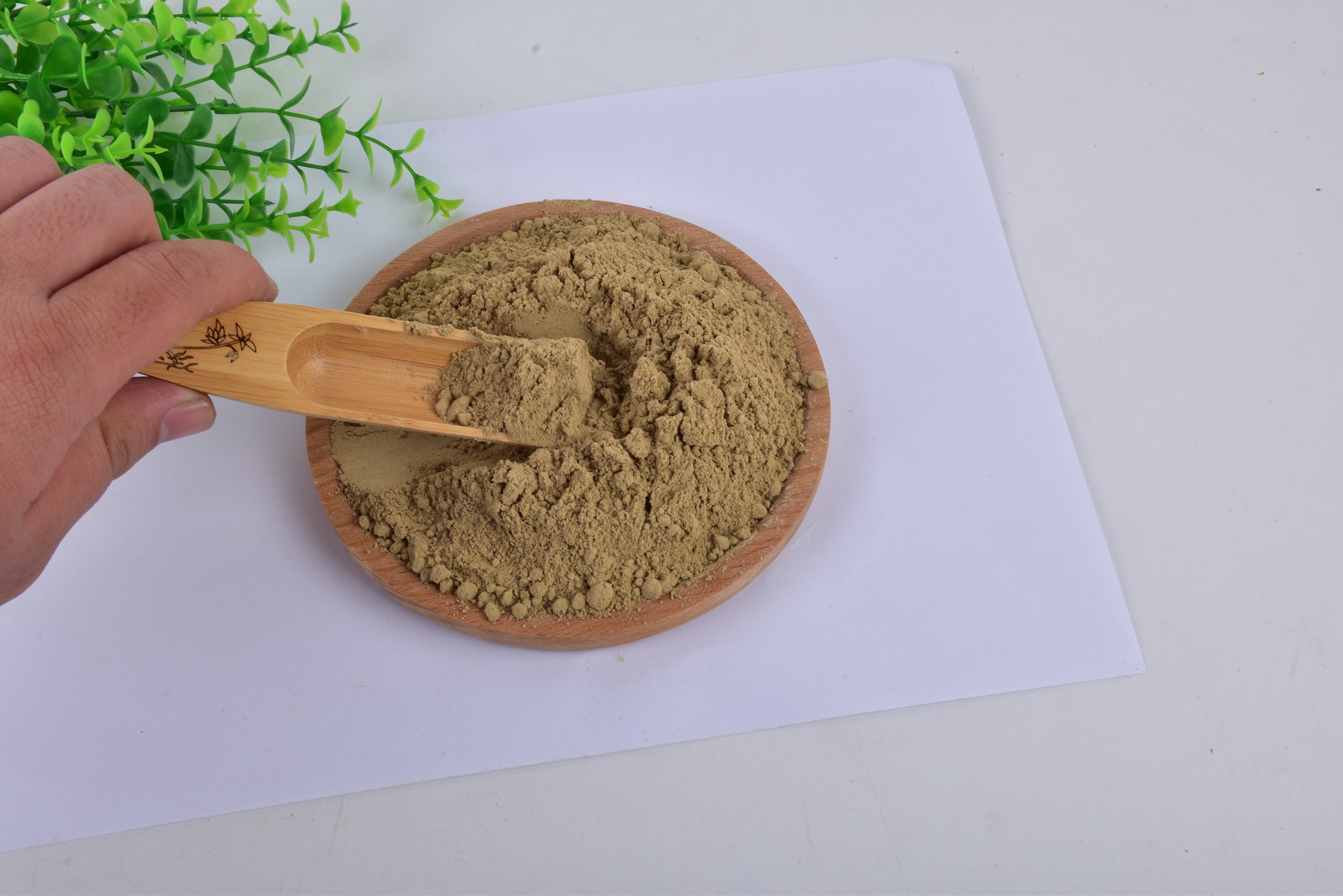Defatted Black Soldier Fly Powder