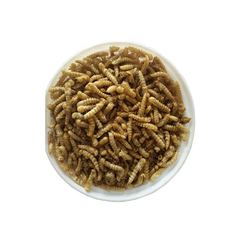Dried Mealworm Powder